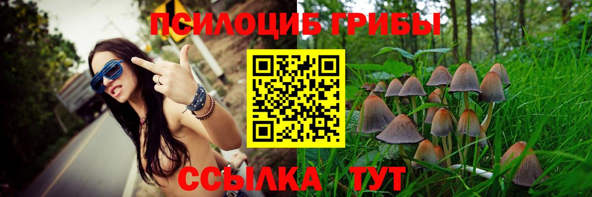 Коммунар  Галлюциногенные грибы MAGIC MUSHROOMS  Вход с VPN 