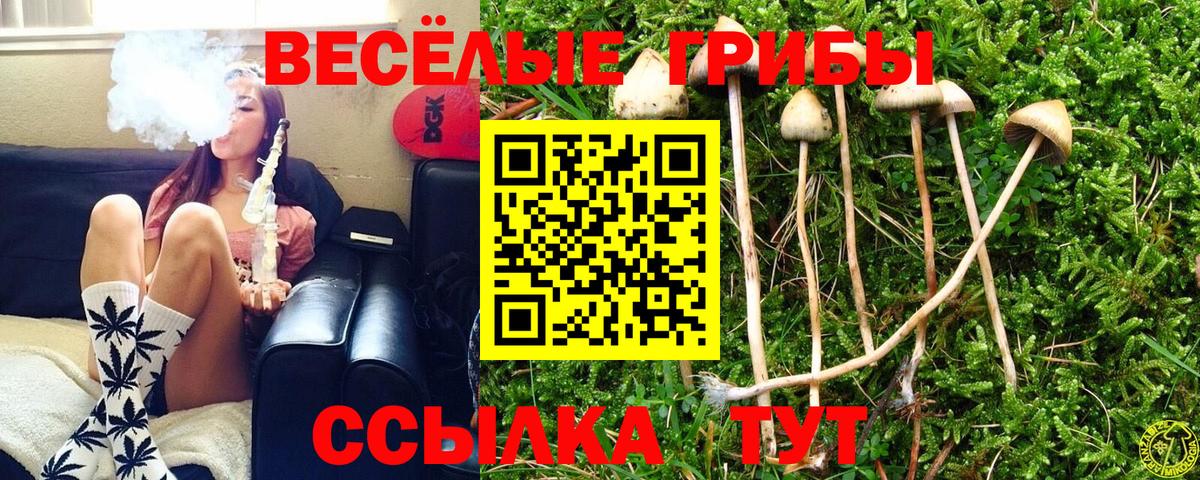 Галлюциногенные грибы прущие грибы Коммунар